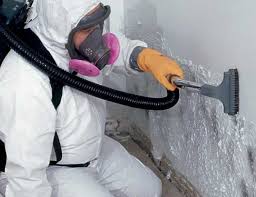 Best Environmental Consulting for Mold Prevention in Preston, IA